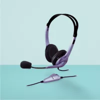 Headset