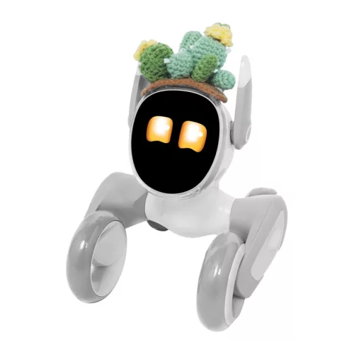 Kötött jelmez a Loona Premium Cactushoz